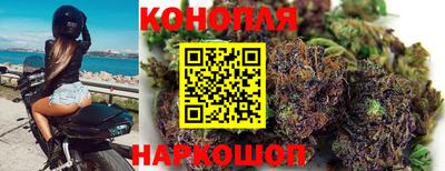 крисы Гуково