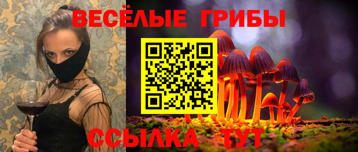 Галлюциногенные грибы GOLDEN TEACHER  Вход с VPN  Псилоцибиновые грибы Cubensis  продажа наркотиков  Дюртюли 